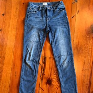 Hudson Blue Skinny Jean